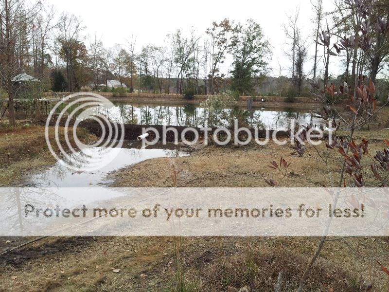 Dam for Auxiliary Pond at Existing Pond Entrance Pond Boss Forum